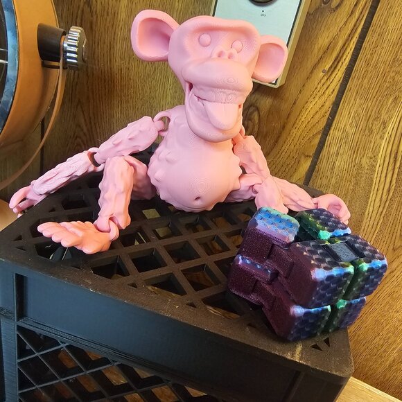 Fidgets - Picture 6 of 10